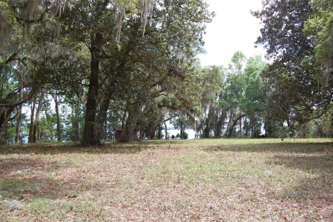 Terrain à vendre à Palatka, Floride № 2099032 - photo 16
