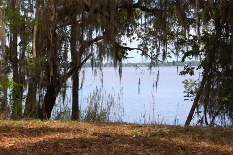 Terrain à vendre à Palatka, Floride № 2099032 - photo 15