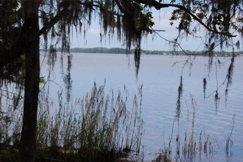 Terrain à vendre à Palatka, Floride № 2099032 - photo 19