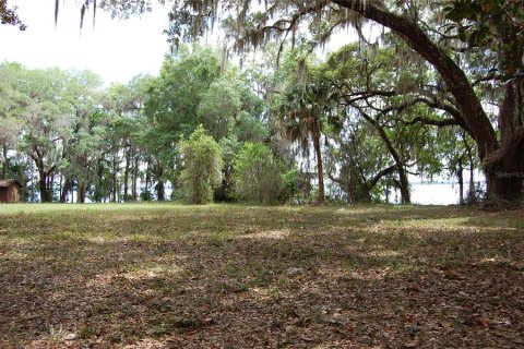 Terrain à vendre à Palatka, Floride № 2099032 - photo 18