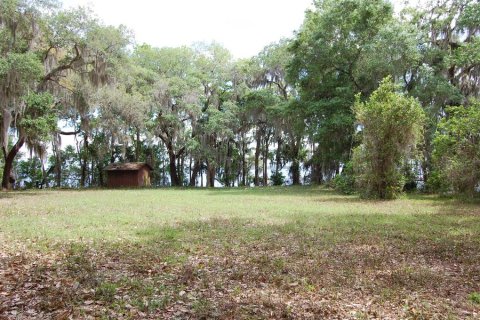 Terrain à vendre à Palatka, Floride № 2099032 - photo 17
