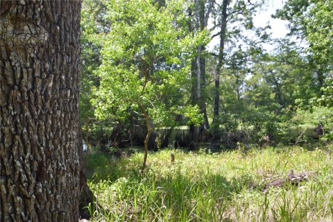 Land in Bushnell, Florida № 1845354 - photo 11