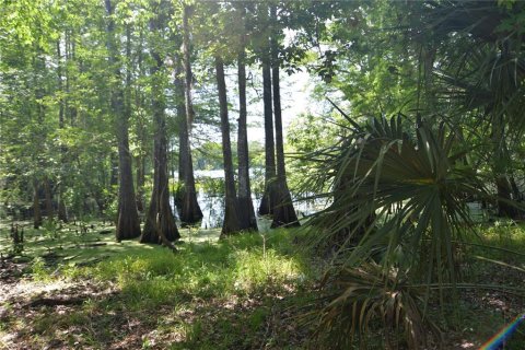 Land in Bushnell, Florida № 1845354 - photo 3