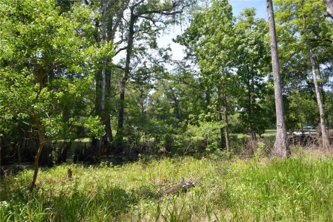 Land in Bushnell, Florida № 1845354 - photo 10