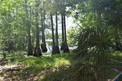 Land in Bushnell, Florida № 1845354 - photo 4