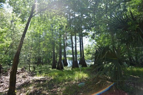 Land in Bushnell, Florida № 1845354 - photo 2