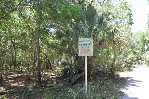 Land in Bushnell, Florida № 1845354 - photo 21