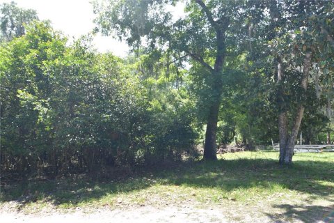 Land in Bushnell, Florida № 1845354 - photo 17