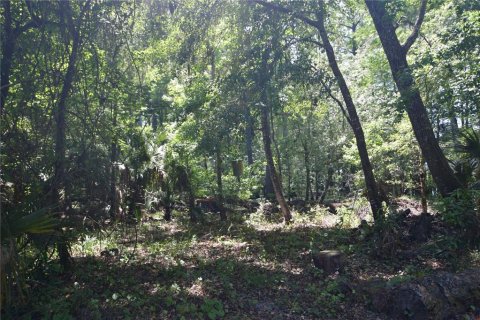 Land in Bushnell, Florida № 1845354 - photo 13