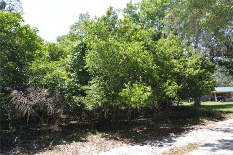 Land in Bushnell, Florida № 1845354 - photo 18