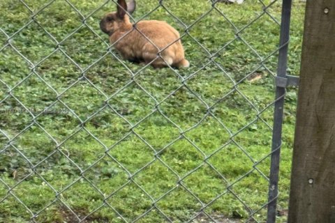 Townhouse in Miami, Florida 3 bedrooms, 138.42 sq.m. № 1959679 - photo 19