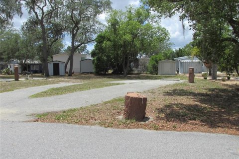 Terreno en Lake Wales, Florida № 2097821