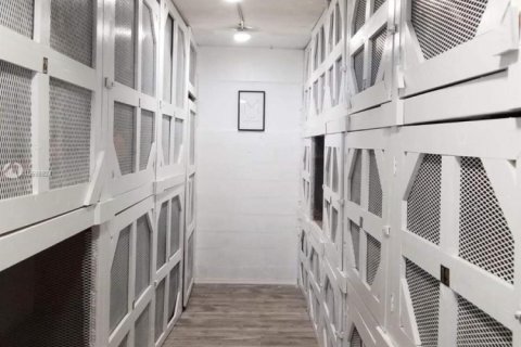 Commercial property in Miami Beach, Florida 27.68 sq.m. № 1985194 - photo 13