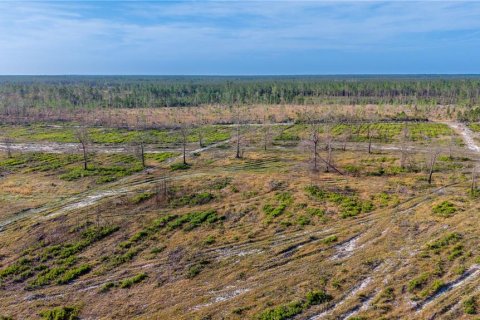 Купить земельный участок в Гейнсвилл, Флорида № 2099522 - фото 8