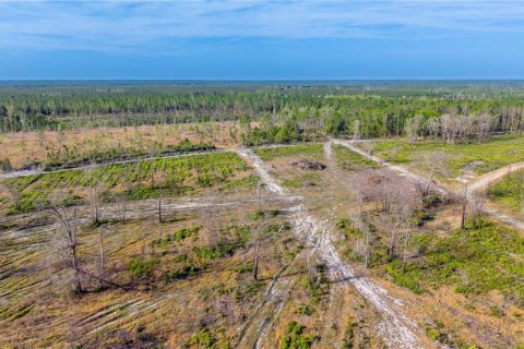 Купить земельный участок в Гейнсвилл, Флорида № 2099522 - фото 9