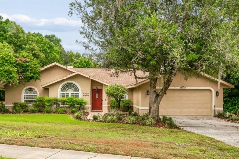 House in Spring Hill, Florida 4 bedrooms, 179.77 sq.m. № 2408058