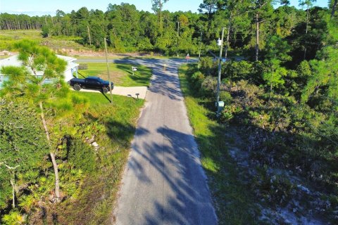 Terrain à vendre à Ocklawaha, Floride № 2387736 - photo 5
