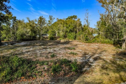 Terrain à vendre à Ocala, Floride № 2231765 - photo 2