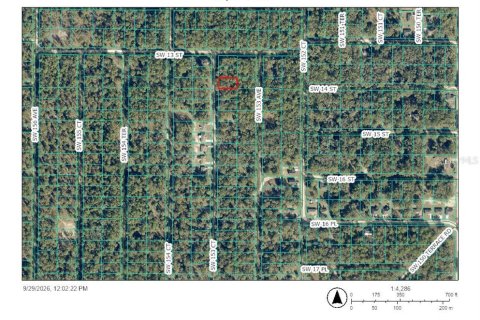 Land in Dunnellon, Florida № 2390915 - photo 2