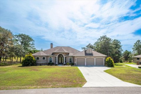 House in Weeki Wachee, Florida 3 bedrooms, 281.31 sq.m. № 1545332 - photo 1
