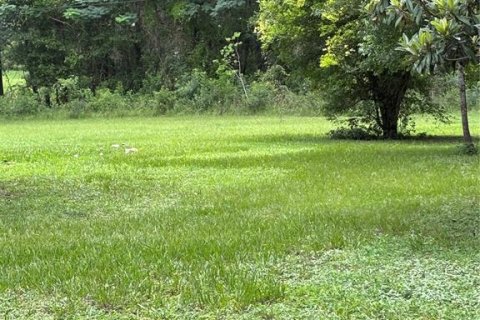 Снять в аренду виллу или дом в Гейнсвилл, Флорида 1 комната, 179.12м2, № 1796717 - фото 26