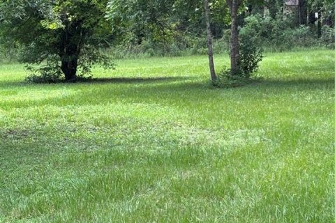 Снять в аренду виллу или дом в Гейнсвилл, Флорида 1 комната, 179.12м2, № 1796717 - фото 25