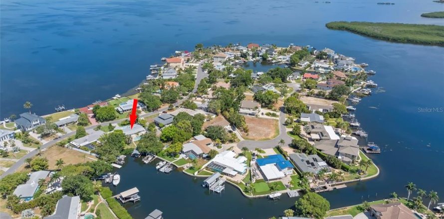 Casa en Palm Harbor, Florida 3 dormitorios, 209.12 m2 № 2150883