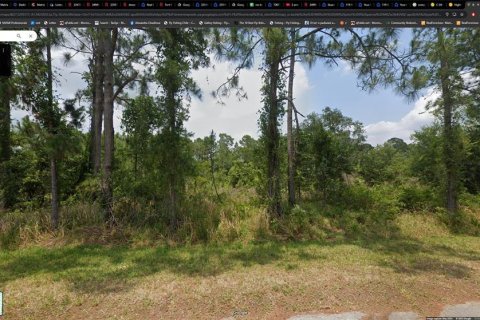 Land in Sebring, Florida № 2228615 - photo 4
