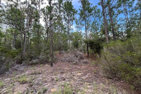 Terrain à vendre à Interlachen, Floride № 2211697 - photo 3