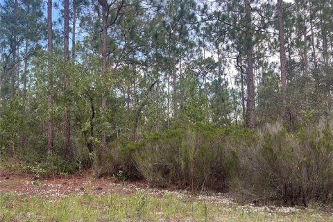 Terrain à vendre à Interlachen, Floride № 2211697 - photo 7