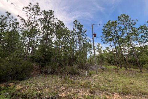 Terrain à Interlachen, Floride № 2211697