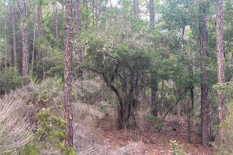 Terrain à vendre à Interlachen, Floride № 2211697 - photo 5