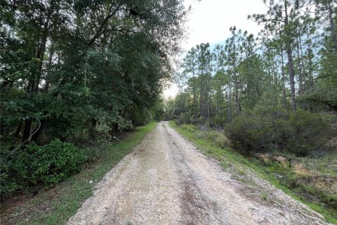 Terrain à vendre à Interlachen, Floride № 2211697 - photo 2