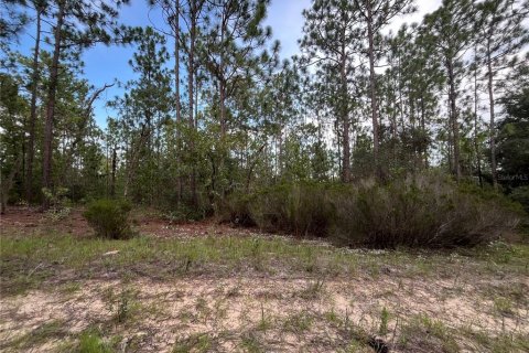 Terrain à vendre à Interlachen, Floride № 2211697 - photo 8