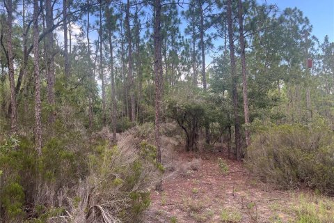 Terrain à vendre à Interlachen, Floride № 2211697 - photo 4