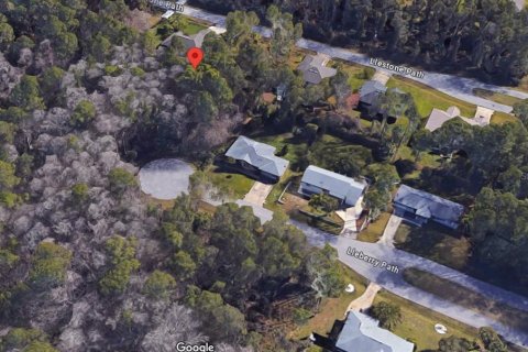 Land in Palm Coast, Florida № 1554810 - photo 3