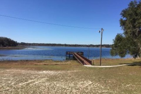 Land in Dunnellon, Florida № 1894857 - photo 7