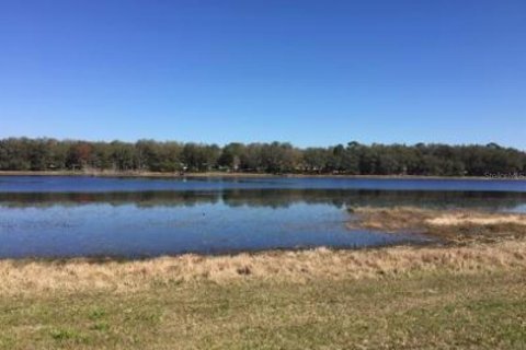 Land in Dunnellon, Florida № 1894857 - photo 5