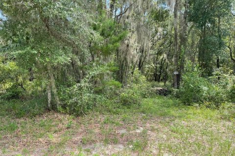 Land in Dunnellon, Florida № 1894857 - photo 1