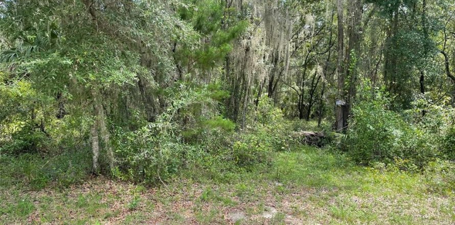 Land in Dunnellon, Florida № 1894857