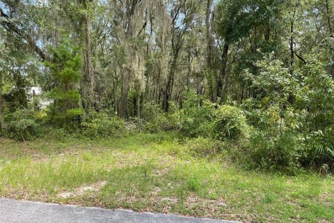 Land in Dunnellon, Florida № 1894857 - photo 3