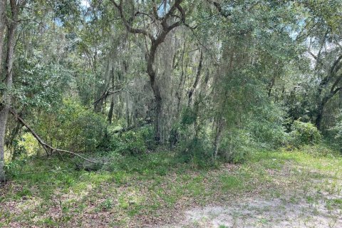 Land in Dunnellon, Florida № 1894857 - photo 4