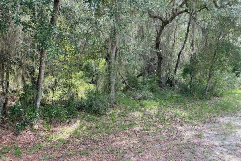 Land in Dunnellon, Florida № 1894857 - photo 2