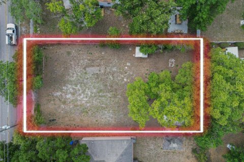 Land in Tampa, Florida № 2099714 - photo 8