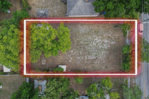 Land in Tampa, Florida № 2099714