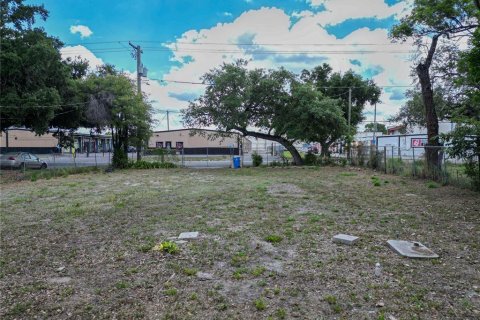 Land in Tampa, Florida № 2099714 - photo 2