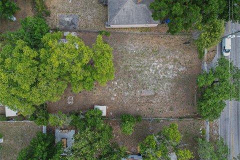 Land in Tampa, Florida № 2099714 - photo 11