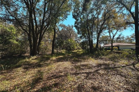Land in Gotha, Florida № 1551540 - photo 7