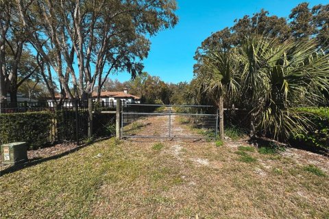 Land in Gotha, Florida № 1551540 - photo 1