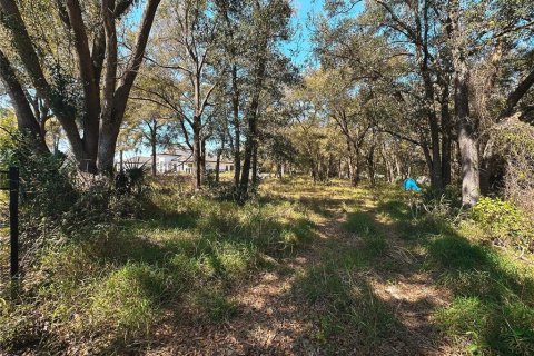 Land in Gotha, Florida № 1551540 - photo 6